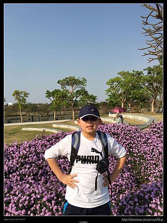 IMG_8132.JPG IMG_8132.JPG