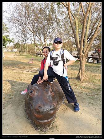 IMG_8379.JPG IMG_8379.JPG