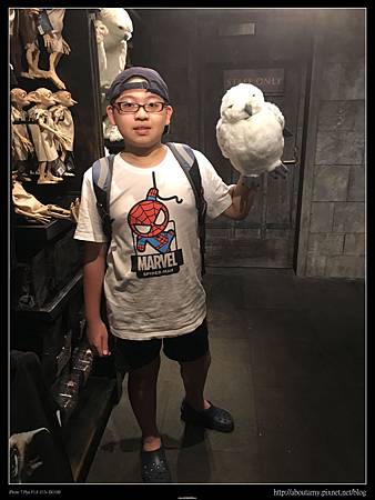 IMG_0292.JPG IMG_0292.JPG