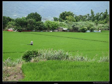 IMG_1526 - 複製.JPG IMG_1526 - 複製.JPG