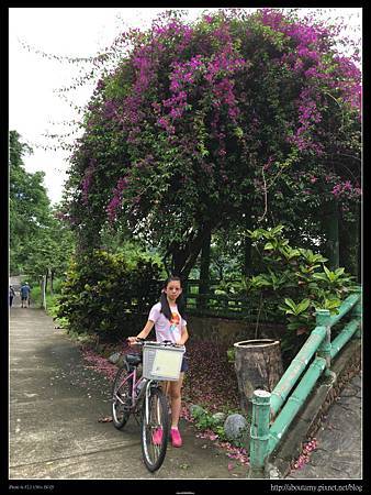 IMG_9270.JPG IMG_9270.JPG