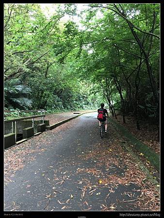 IMG_9277.JPG IMG_9277.JPG