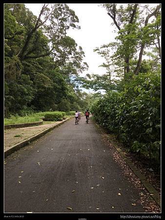 IMG_9279.JPG IMG_9279.JPG