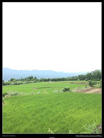 IMG_9288.JPG IMG_9288.JPG