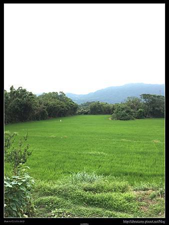 IMG_9291.JPG IMG_9291.JPG