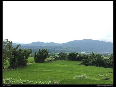 IMG_9290.JPG IMG_9290.JPG