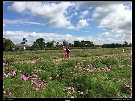 IMG_9442.JPG IMG_9442.JPG