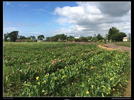 IMG_9445.JPG IMG_9445.JPG