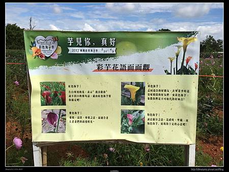 IMG_9447.JPG IMG_9447.JPG