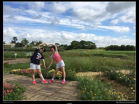 IMG_9474.JPG IMG_9474.JPG