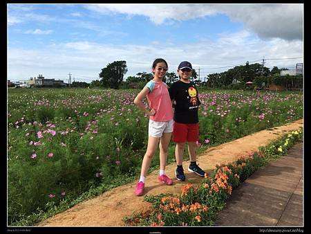 IMG_9485.JPG IMG_9485.JPG