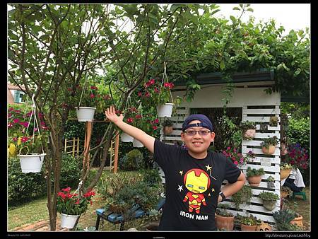 IMG_9505.JPG IMG_9505.JPG