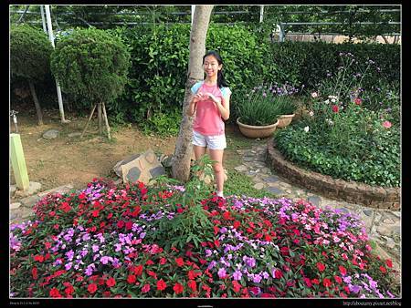 IMG_9510.JPG IMG_9510.JPG