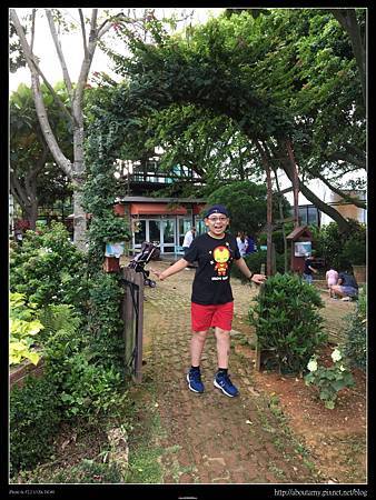 IMG_9513.JPG IMG_9513.JPG