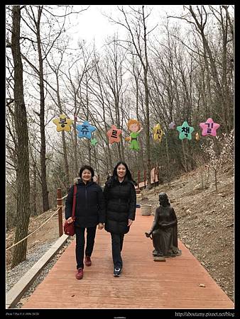 IMG_5687.JPG IMG_5687.JPG