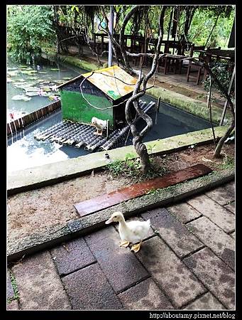 S__20021268_nEO_IMG.jpg S__20021268_nEO_IMG.jpg