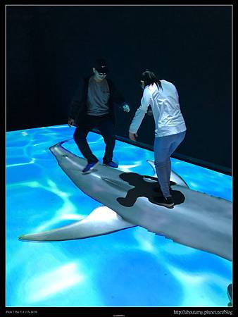 S__20824233.jpg S__20824233.jpg