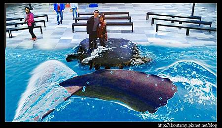 S__20824272_nEO_IMG.jpg S__20824272_nEO_IMG.jpg