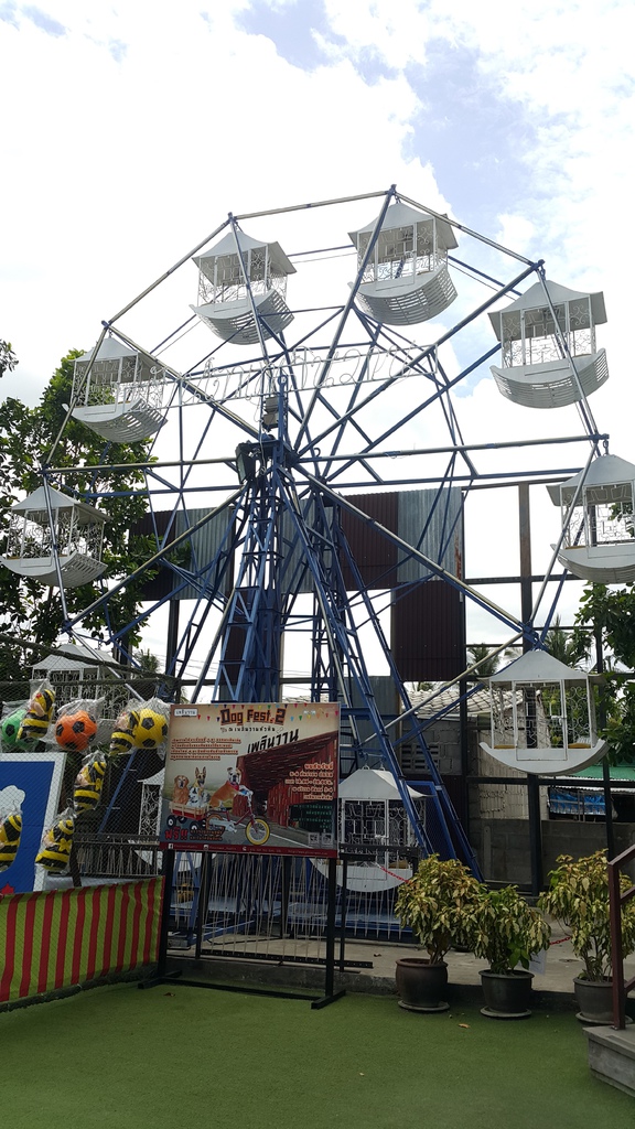 20150830_124919 20150830_124919