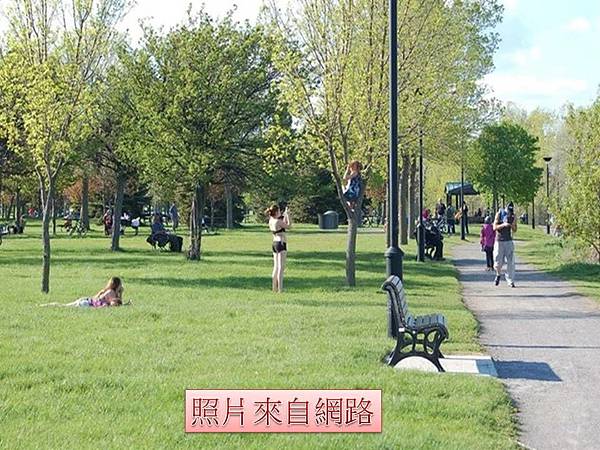 「稻草富翁翻版」 30坪加拿大房子換台北10坪屋#不動產買賣 「稻草富翁翻版」 30坪加拿大房子換台北10坪屋#不動產買賣