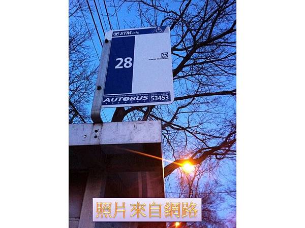 「稻草富翁翻版」 30坪加拿大房子換台北10坪屋#不動產買賣 「稻草富翁翻版」 30坪加拿大房子換台北10坪屋#不動產買賣