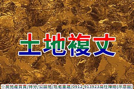 土地複丈(示意圖) 土地複丈(示意圖)