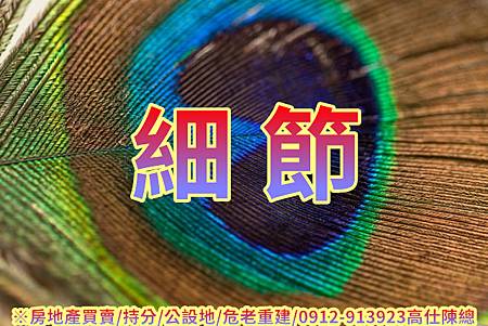 細節(寫意圖) 細節(寫意圖)