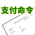 支付命令(示意圖)