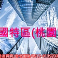 桃園市經國特區(示意圖)