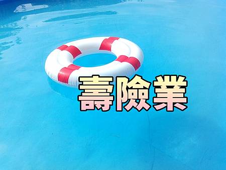 壽險業(示意圖) 壽險業(示意圖)