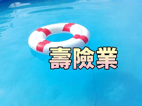 壽險業(示意圖)