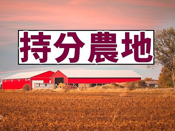 持分農地(示意圖) 持分農地(示意圖)