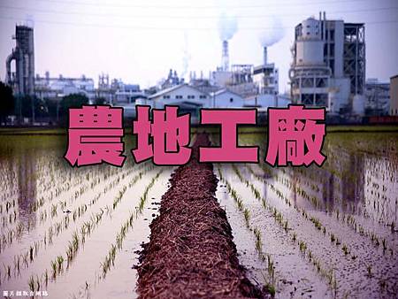 農地工廠(示意圖) 農地工廠(示意圖)
