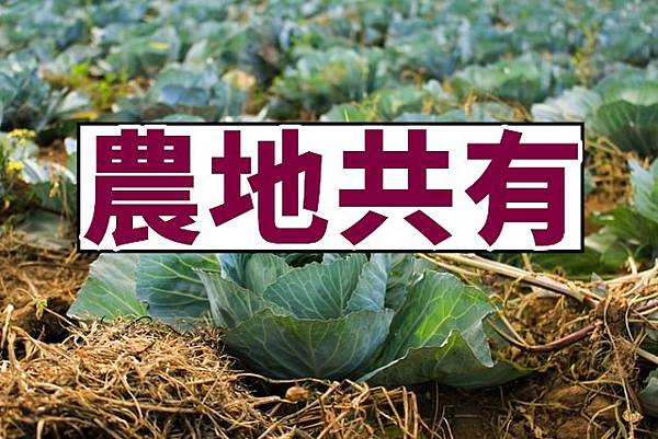 農地共有(示意圖) 農地共有(示意圖)