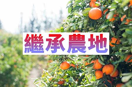 繼承農地(示意圖) 繼承農地(示意圖)