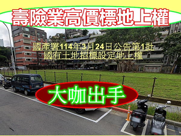 壽險業高價標地上權