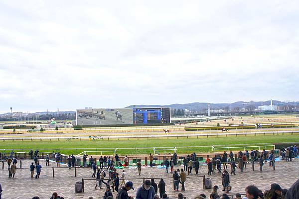 19 0217 日本 東京競馬jra東京 Brett 旅遊時光線 痞客邦 19 0217 日本 東京競馬jra東京 Brett 旅遊時光線 痞客邦