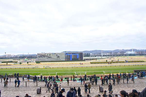 19 0217 日本 東京競馬jra東京 Brett 旅遊時光線 痞客邦