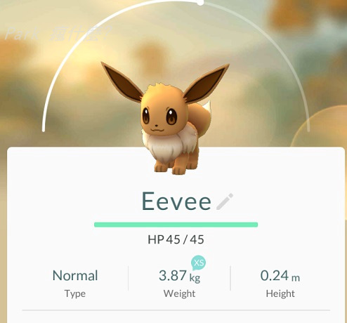 Pokemon寶可夢攻略 如何讓伊布eevee指定進化哪一種精靈 Park 瘋什麼 痞客邦