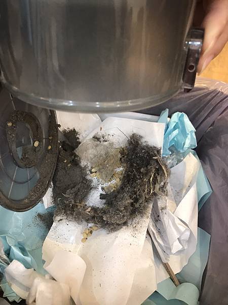 無線吸塵器清潔方式 一鍵除塵