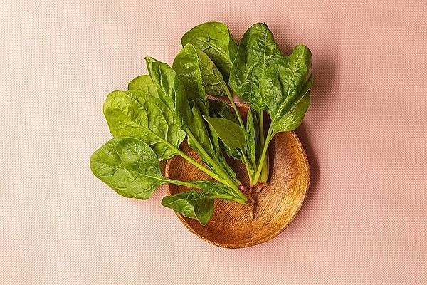 菠菜提升免疫力 菠菜