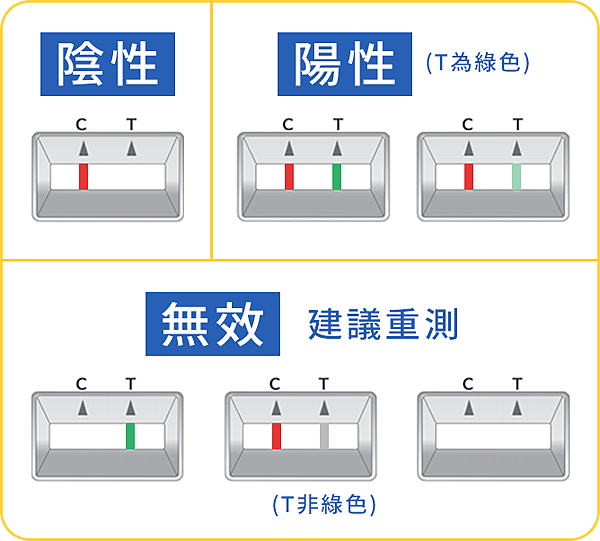 篩檢結果(圖)