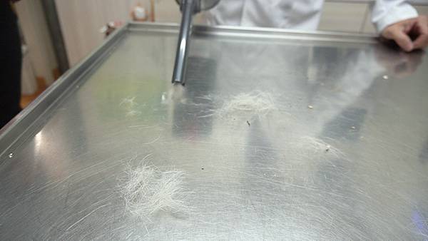 吸狗毛吸塵器推薦 貓毛清潔吸塵器