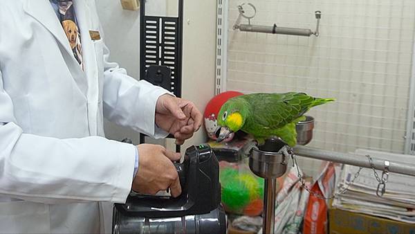 小聲吸塵器 低噪音吸塵器