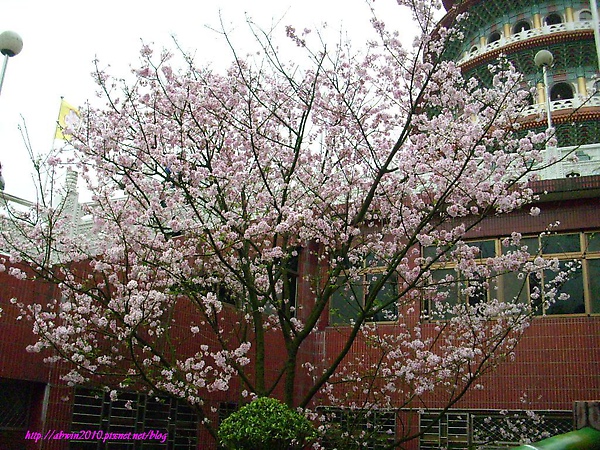 照片 725.JPG