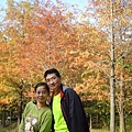 PhotoCap_DSC00607.jpg