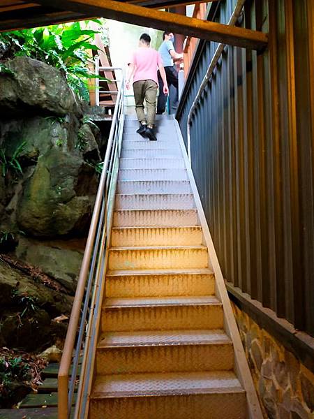 新北樹林~TREE TOP KAFFA 樹頂上景觀餐廳~深山