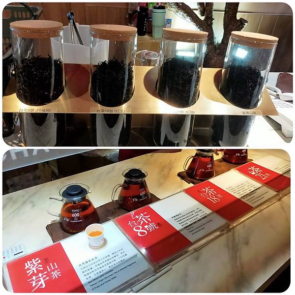 335053147_5752045938258013_60236141957133477_n (1).jpg