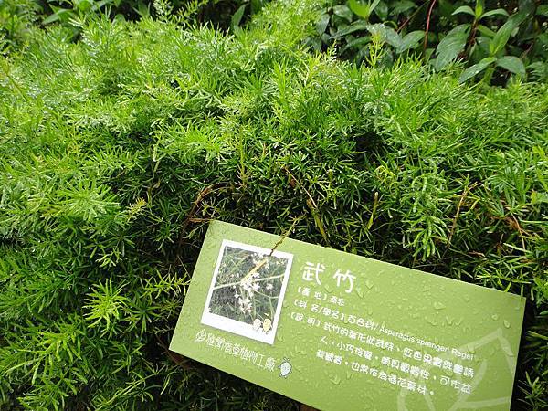 PhotoCap_DSC02580.jpg