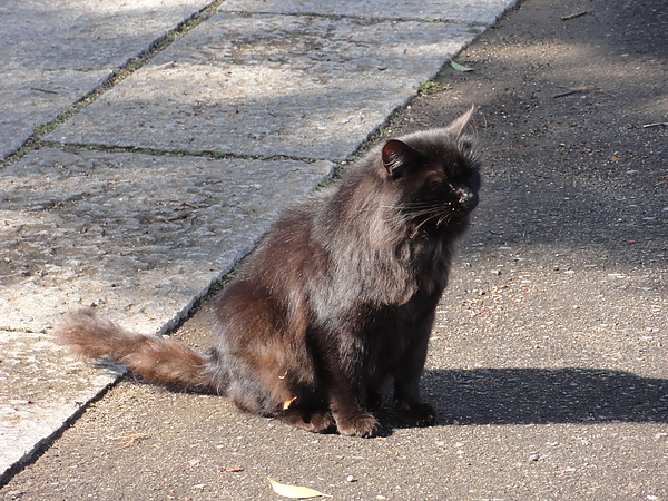 DSC08116.JPG
